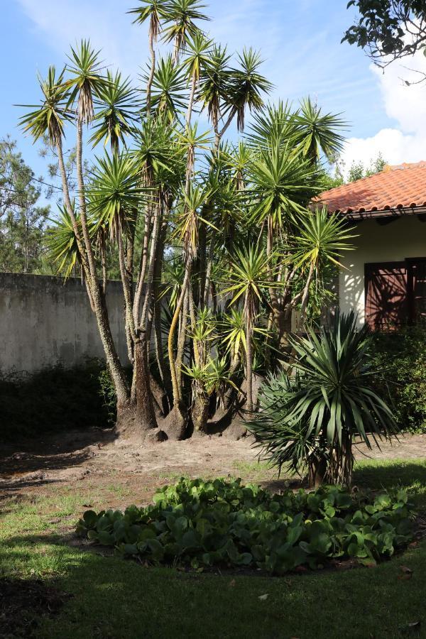 A Quinta Duna Salir de Porto Exterior foto
